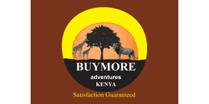 BuyMore Adventures