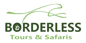 Borderless Tours & Safaris Logo