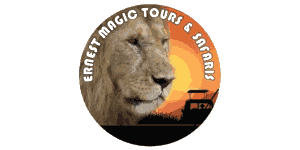 Ernest Magic Tours and Safaris Logo