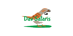 Dav Safaris logo