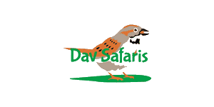 Dav Safaris Logo