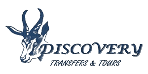 Discovery Transfer and Tours Logo