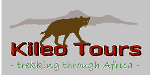 Kileo Tours & Safaris 