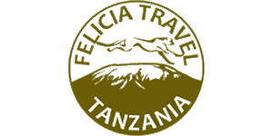 Felicia Travel Tanzania Logo
