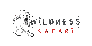 Wildness Safari Tanzania