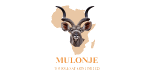 Mulonje Tours Logo