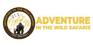 Adventure in the Wild Safaris