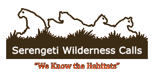 Serengeti Wilderness Calls Logo