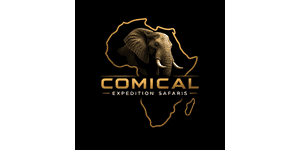 Comical Expedition Safaris Logo