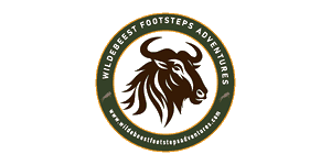 Wildebeest Footsteps Adventures
