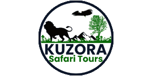 Kuzora Safari Tours Logo
