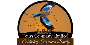 LBR  Tours Company