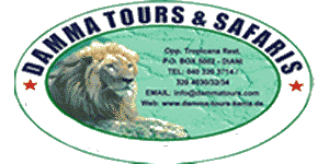 Damma Tours Logo
