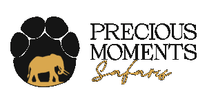 Precious Moments Safaris Logo