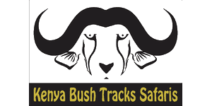 Kenya Bush Tracks Safaris Logo