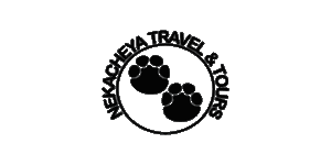 Nekacheya Travel & Tours Logo