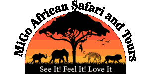 Migo African Safaris and Tours Ltd Logo