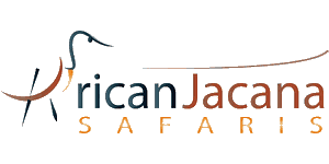 African Jacana Safari Tours