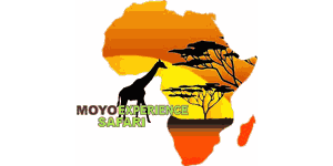 Moyo Experience Safari