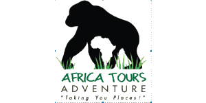 Africa Tours Adventure logo