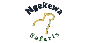 Ngekewa Tours and Safaris logo