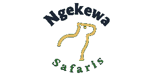 Ngekewa Tours and Safaris Logo