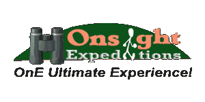 Onsight Expeditions Onsight Expeditions