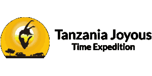 Tanzania Joyous Time Logo