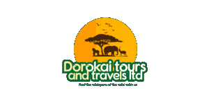 Dorokai Tours and Travels