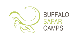 Buffalo Safari Camps Logo