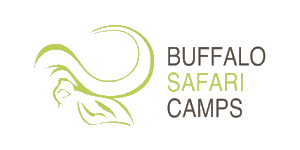 Buffalo Safari Camps