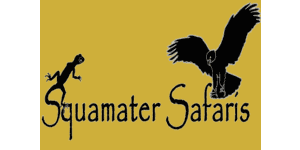 Squamater Safaris