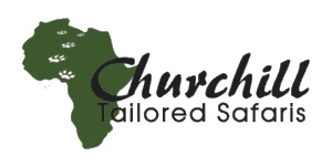 Churchill Safaris