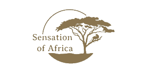 Sensation of Africa Logo