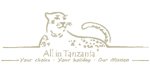 All In Tanzania Logo