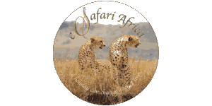 eSafari Africa Logo