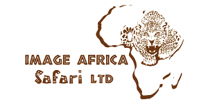 Image Africa Safari Logo