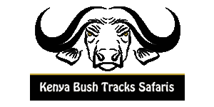 Kenya Bush Tracks Safaris Logo