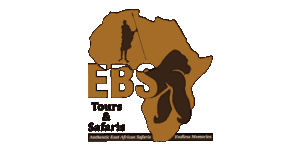 EBS Tours and Safaris Logo