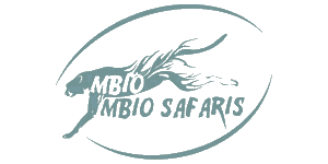 Mbio Mbio Safaris