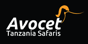 Avocet Tanzania Safaris Logo