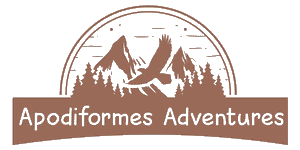 Apodiformes Adventures logo