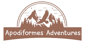 Apodiformes Adventures Logo