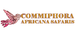 Commiphora Africana Safaris