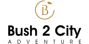 Bush 2 City Adventure Logo