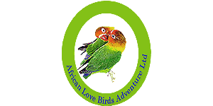 African Love Birds Adventure LTD