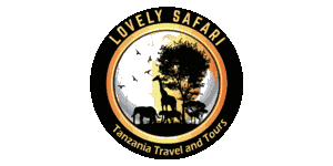 Lovely Safari Logo