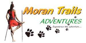 Moran Trails Adventures