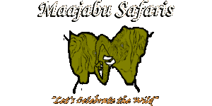 Maajabu Safaris Logo