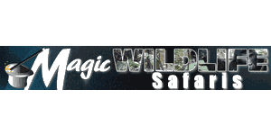 Magic Wildlife Safaris Logo